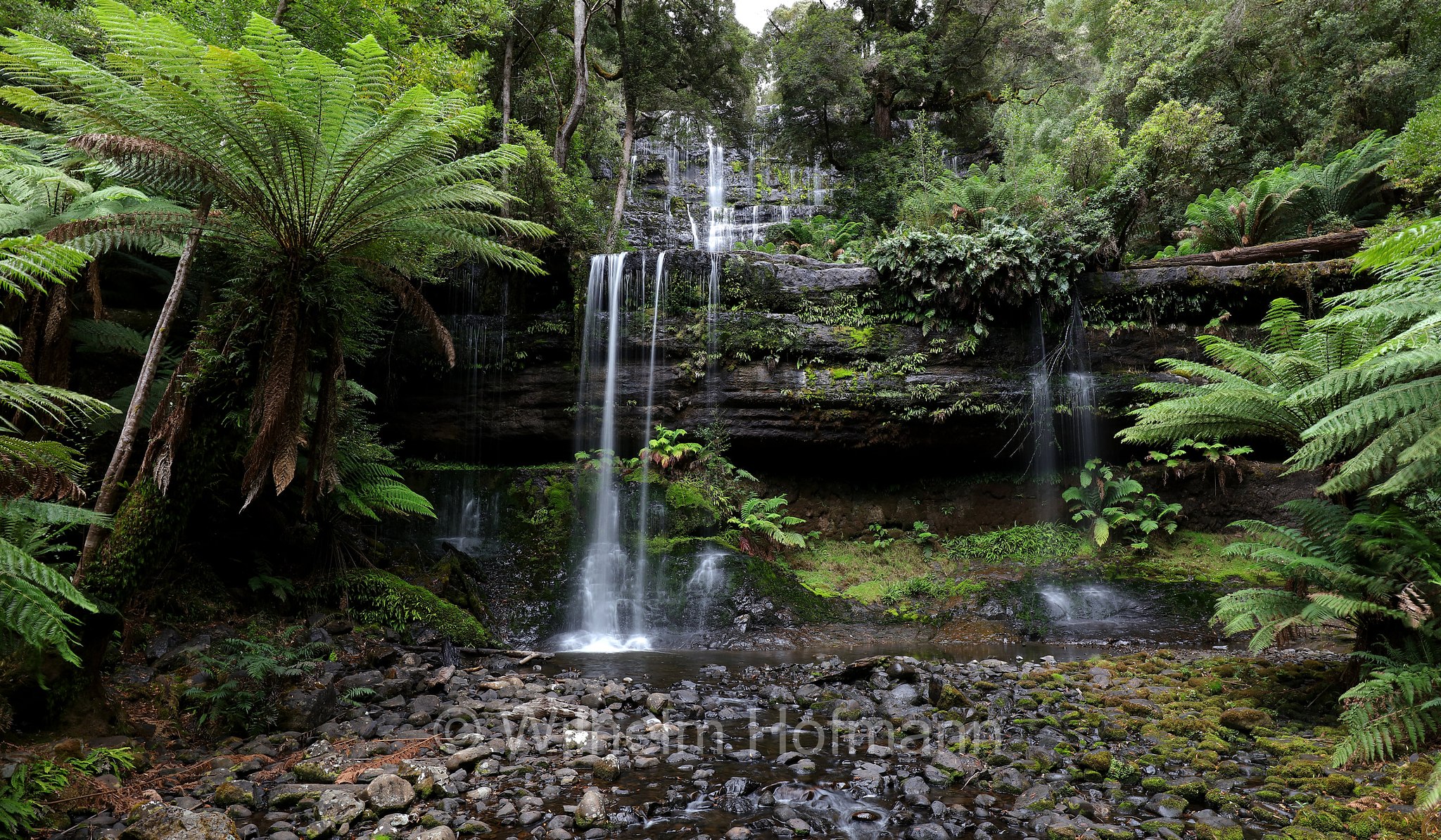 Russell Falls, Mount Field National Park, Mount-Field-Nationalpark, parco nazionale Mount Field, Tasmania, Tasmanien, Australia, Australien