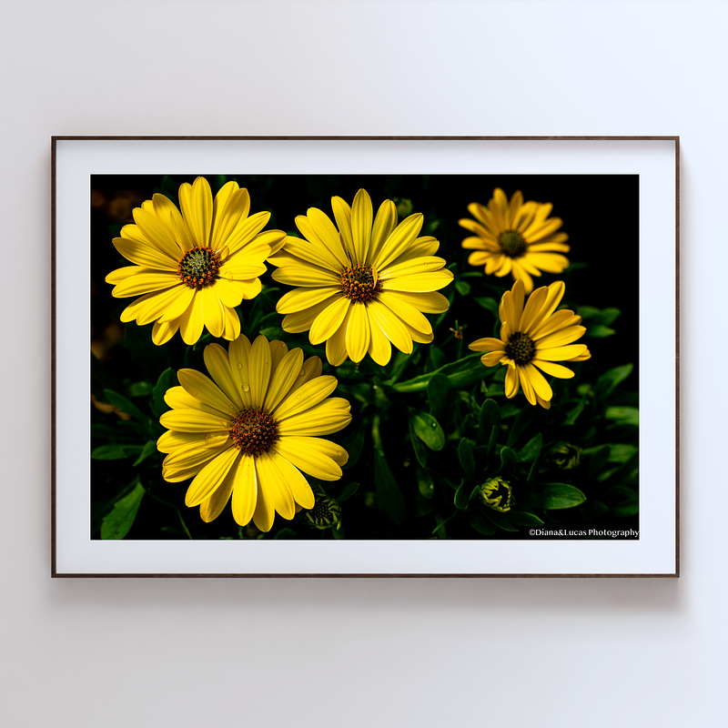 THE ONE - WILDLIFE & NATURE - "Yellow Cluster" - LIMITED EDITION 5 of 5