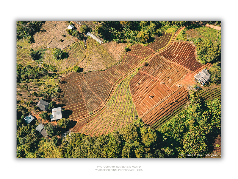 THE ONE - AERIAL PRINTS - "Stiched Earth" - LIMITED EDITION 5 of 5