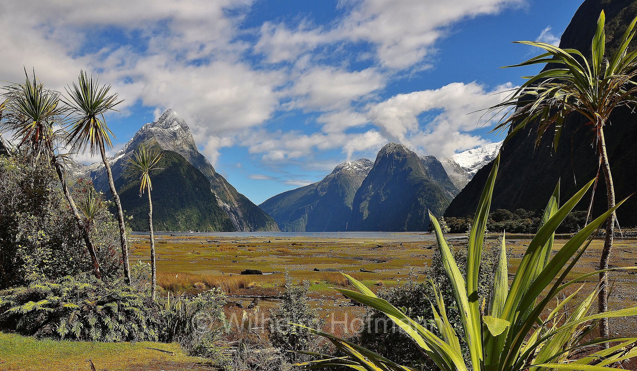 Piopiotahi, Milford Sound, Fiordland National Park, Fiordland-Nationalpark, Parco nazionale del Fiordland, South Island, Südinsel, Isola del Sud, New Zealand, Neuseeland, Nuova Zelanda