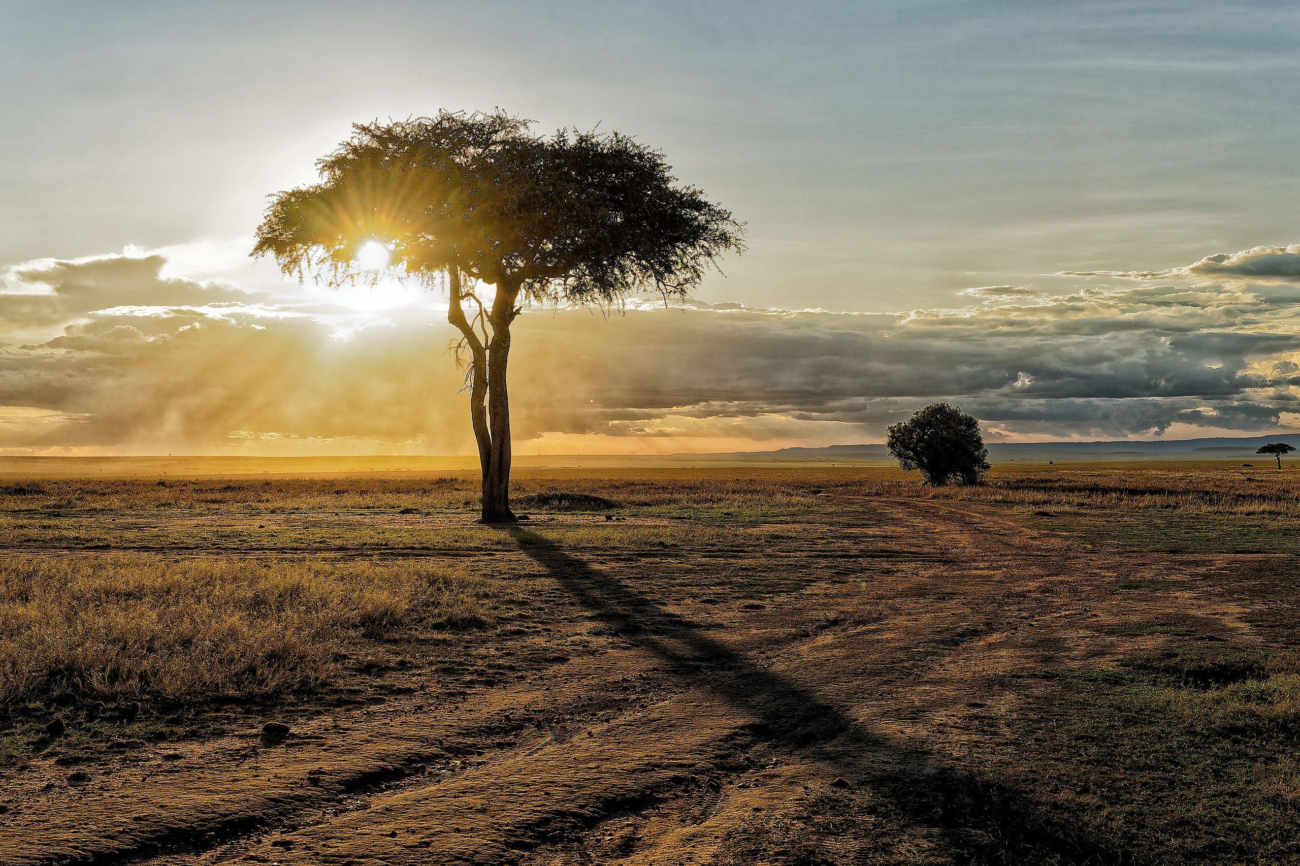 Paysages d'Afrique