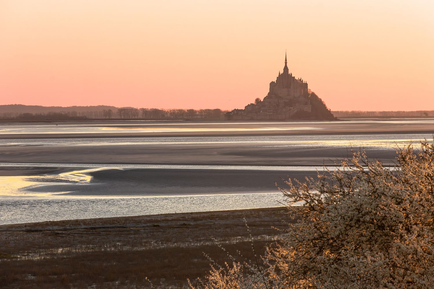 Yann Herv&eacute;, photographe &agrave; Dinard