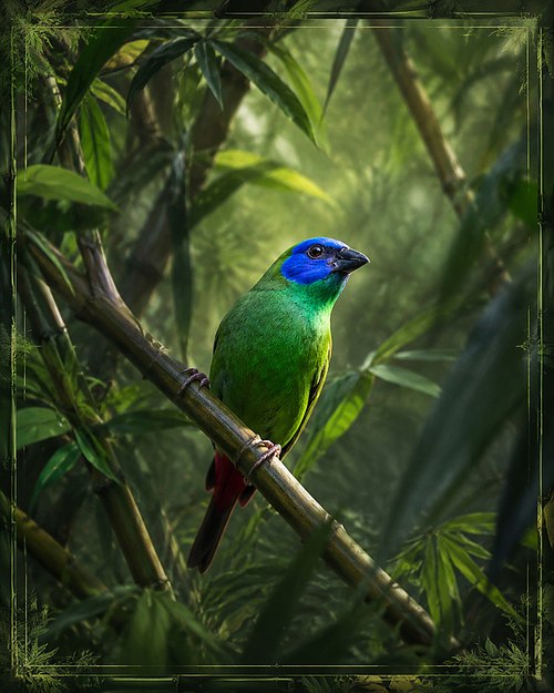The Emerald Whisper