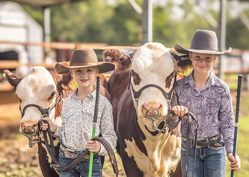 Agricultural Shows