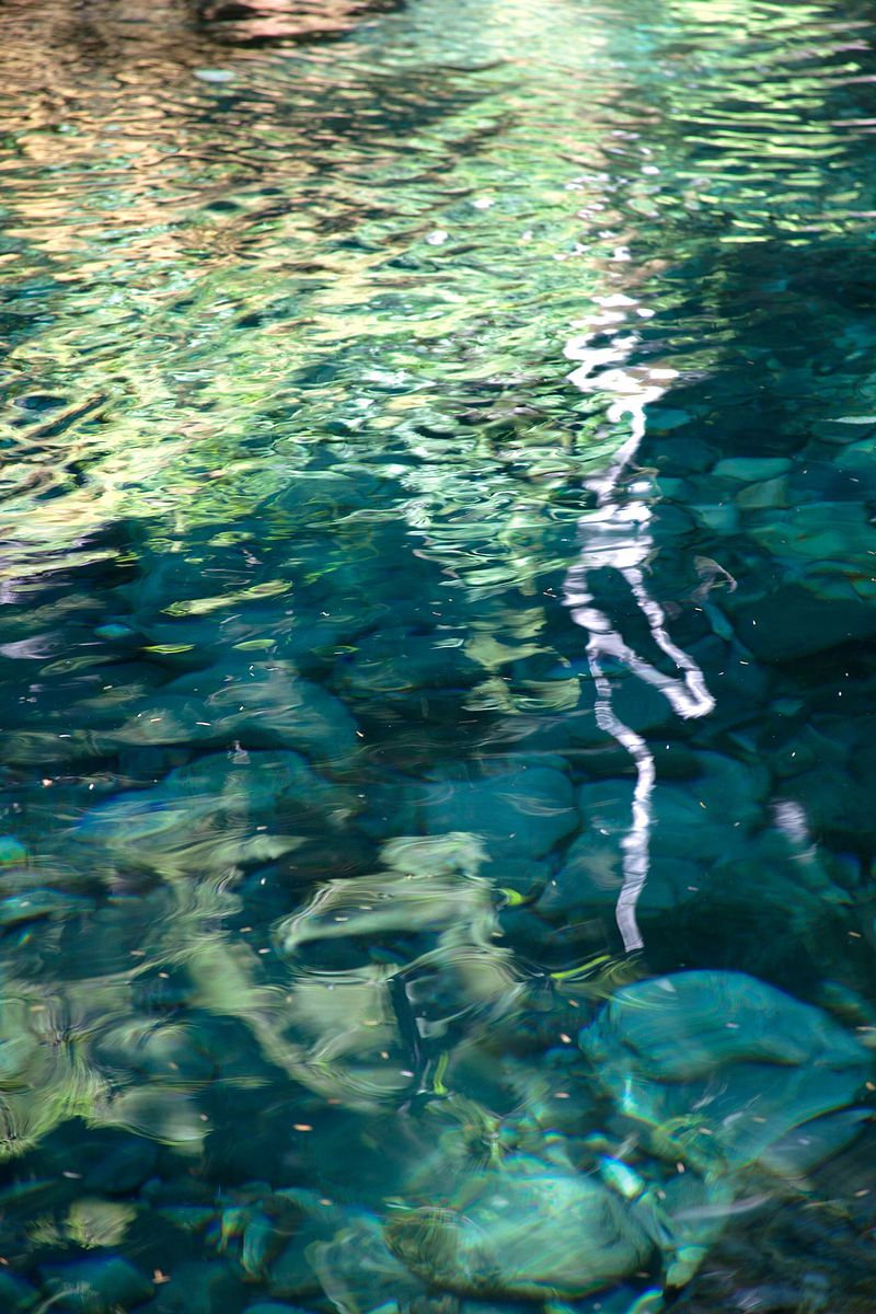 Water Dancer - Limited Edition Photograph | Giclée Print - Loose | 20"W X 30"H