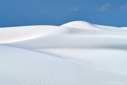 New Mexico