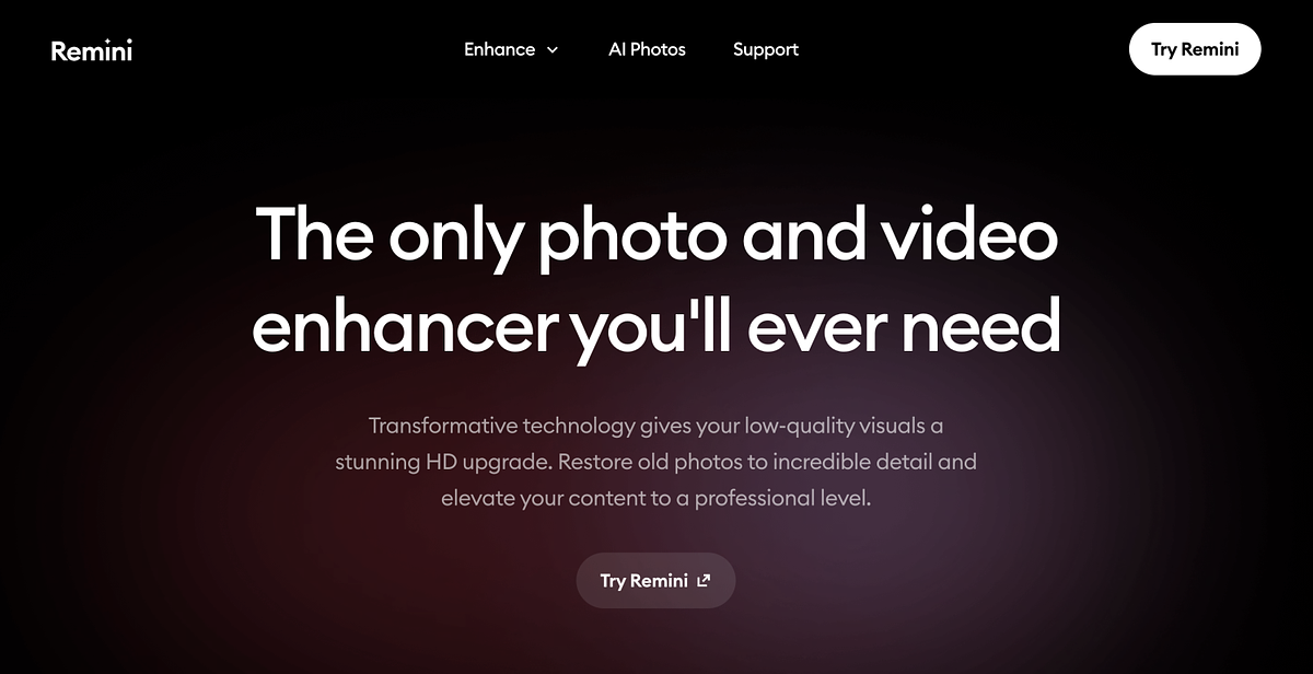 Remini home page