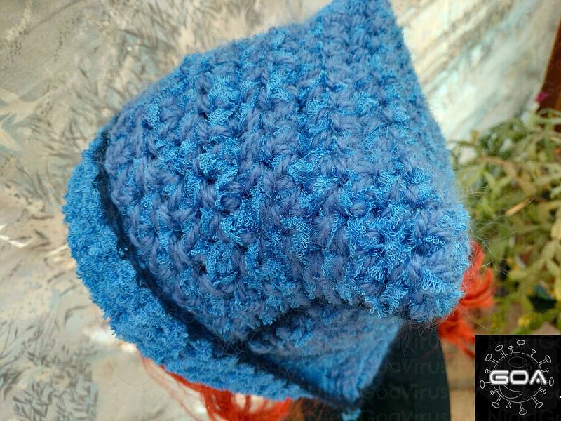 Virus beanie 21