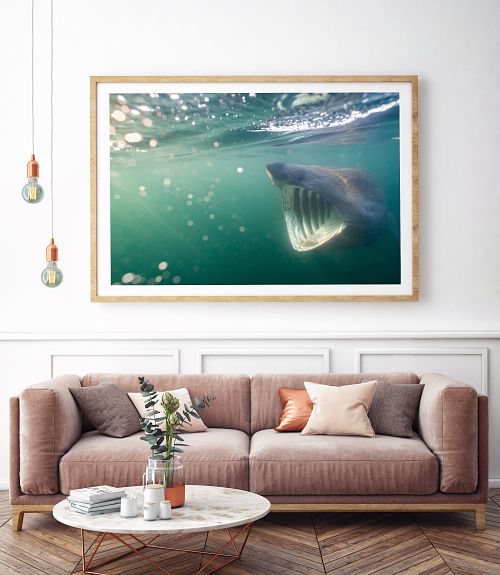 Living,Room,Interior,Wall,Mock,Up,With,Velvet,Sofa,,Pillows