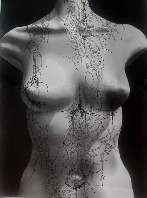 Untitled Artwork