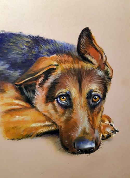Colorful dog portrait painting capturing expression and character