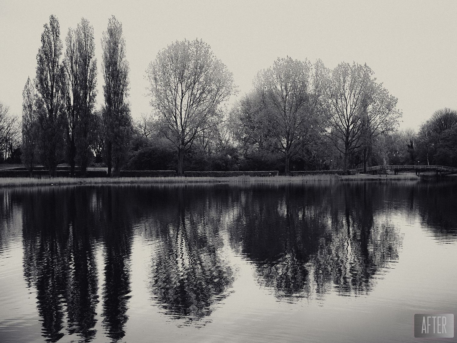 DANUBE DREAM