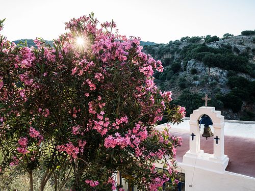 KIRCHE MIT OLEANDER