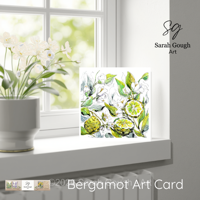 Bergamot Fruit and Flowers | Botanical Illustration | Floral Art Card | with Envelope