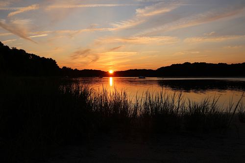 Nature Scenes