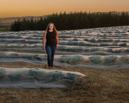 Increasing food production while decreasing input costs