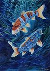 The Legend of the Koi / La leyenda del Koi