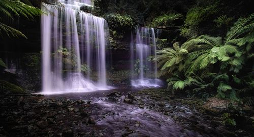 Waterfall, stream, river, creek, flowing water, long exposure, nature, landscape, travel, hiking, adventure, escape, light, rocks, moss, ferns, forest, trees, mount field, Tasmania, Australia, Hobart, rain forest, gum, eucalyptus