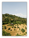 COLLECTION - FROM ABOVE VERTICAL - "The Only House" - LIMITED EDITION 10 of 10
