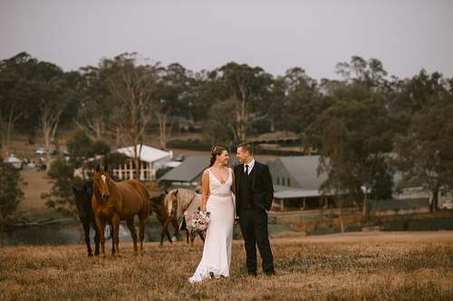 Dani + Ben