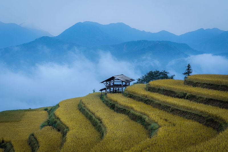 VIETNAM