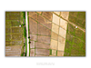 THE ONE - AERIAL PRINTS - "Separated Patches" - LIMITED EDITION 5 of 5