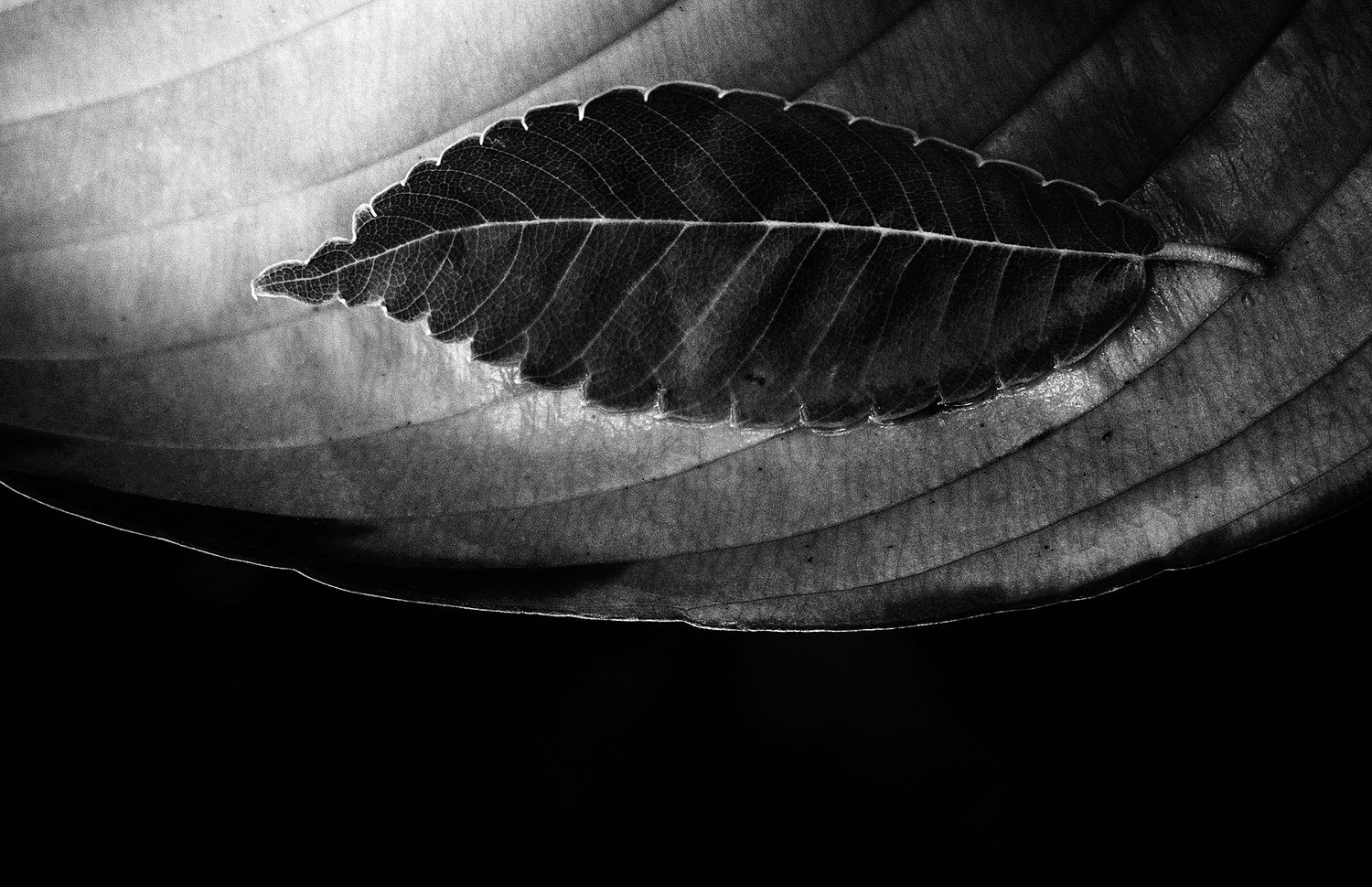 Bill Helton Photography