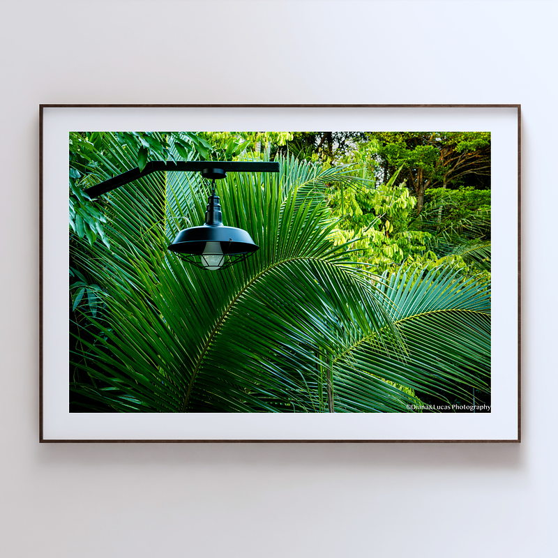 THE ONE - WILDLIFE & NATURE - "Lost in the Canopy" - LIMITED EDITION 5 of 5