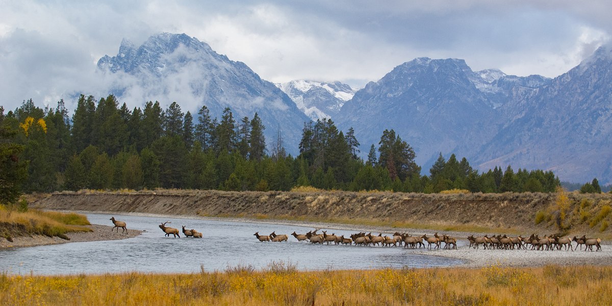 Fall-on-the-Snake-River