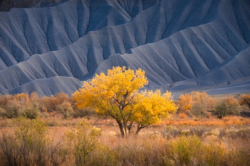 USA SOUTHWEST