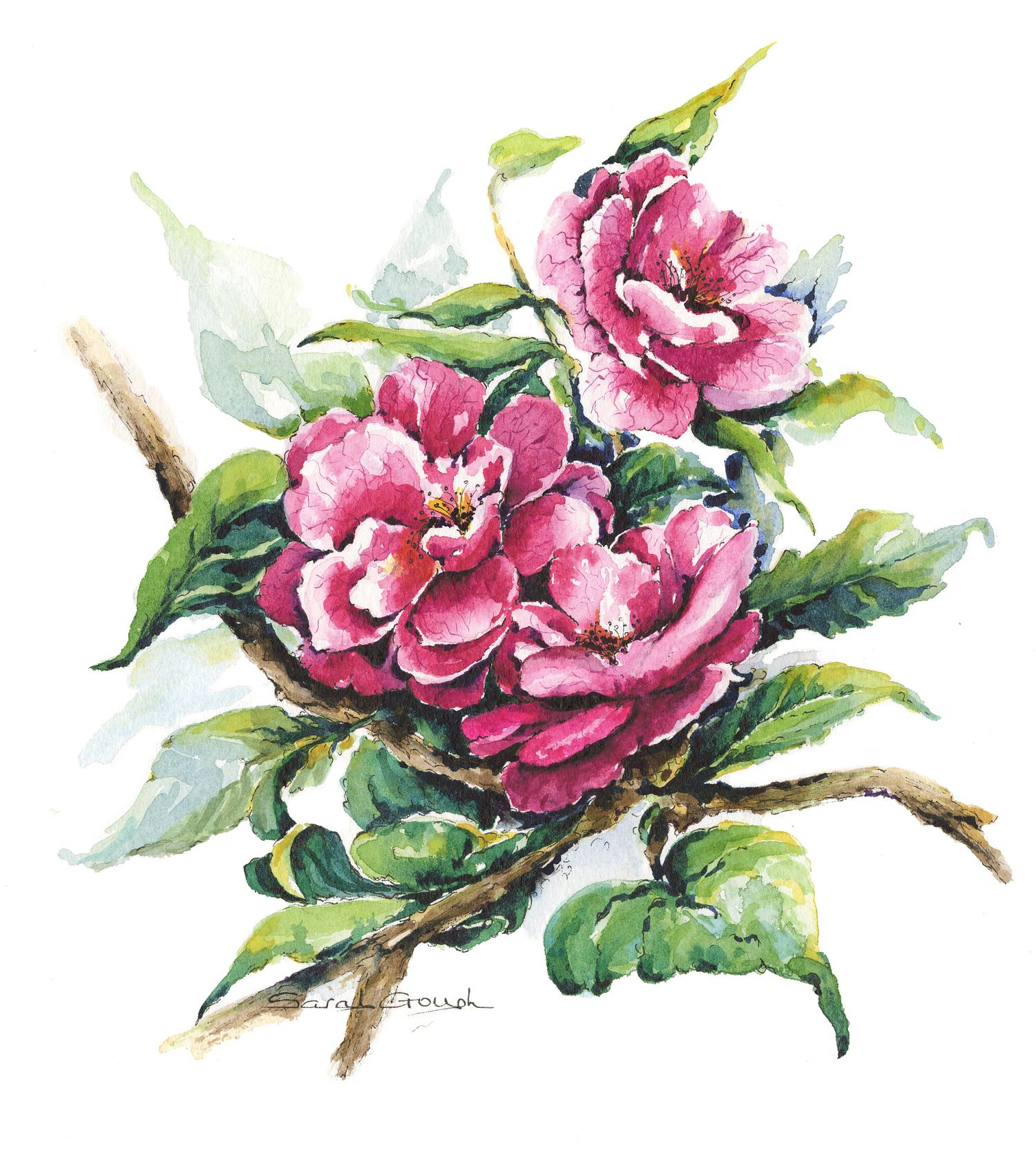 Sarah Gough | Art
