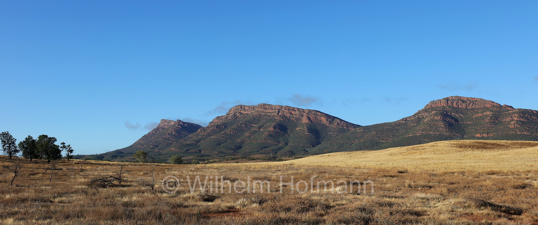 Wilpena Pound, Ikara–Flinders Ranges National Park, Ikara-Flinderskette-Nationalpark, parco nazionale Monti Flinders, South Australia, Südaustralien, Australia Meridionale, Australia, Australien