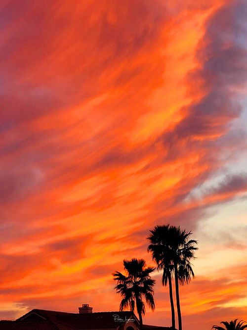 Latest Work - Spring Sunsets