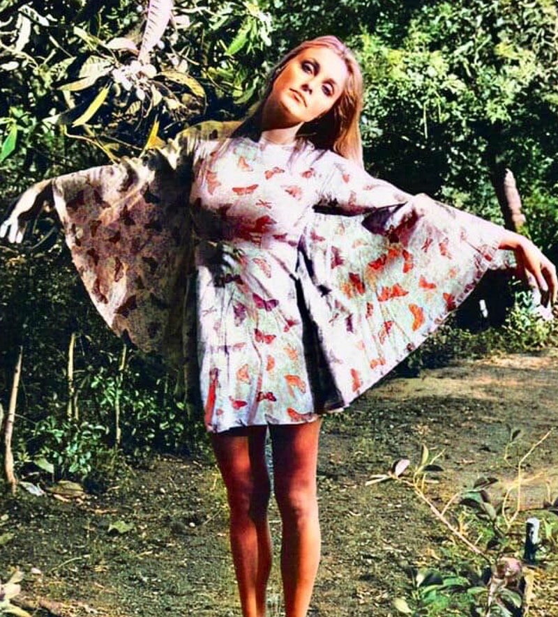 Sharon's Blue Bell Sleeve Butterfly Dress