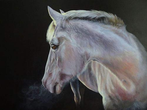 Colorful horse portrait painting capturing strength and expression