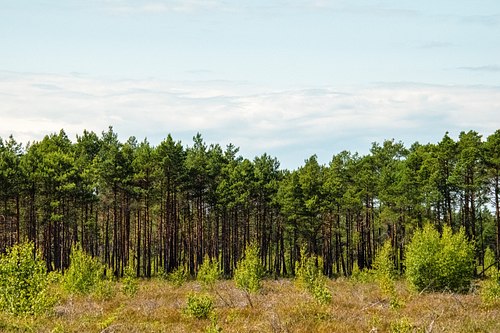 Tule, m&auml;rka minu viimaseid lisatud pildistatud t&ouml;id.