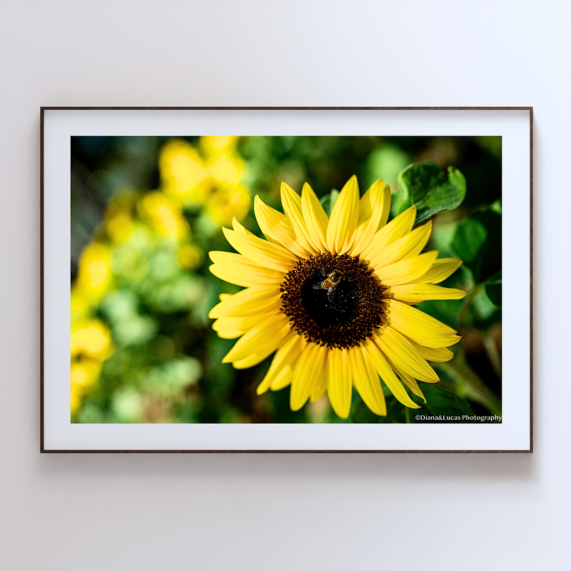 THE ONE - WILDLIFE & NATURE - "Already Working" - LIMITED EDITION 5 of 5