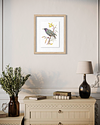 Starling Fine Art Print
