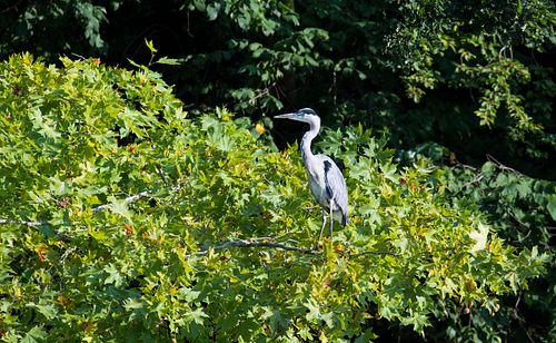 Tierpark Dählhölzli
