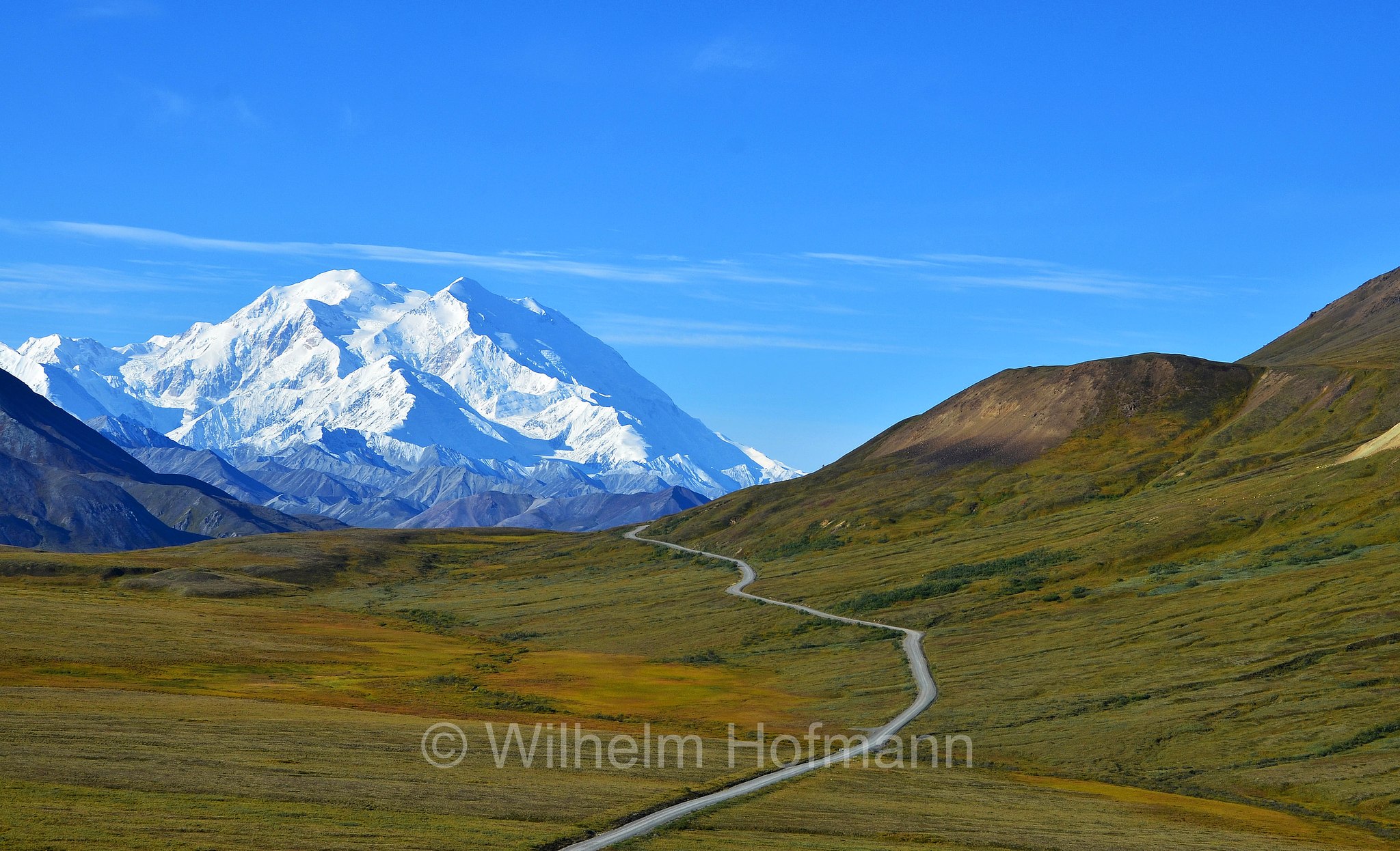 Denali, Mount McKinley, Stony Hill Overlook, Denali National Park, Denali National Park and Preserve, Denali-Nationalpark, Parco nazionale del Denali, Alaska, USA