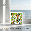 Black Pepper | Botanical Art Card | Watercolour Original Illustration | with Envelope