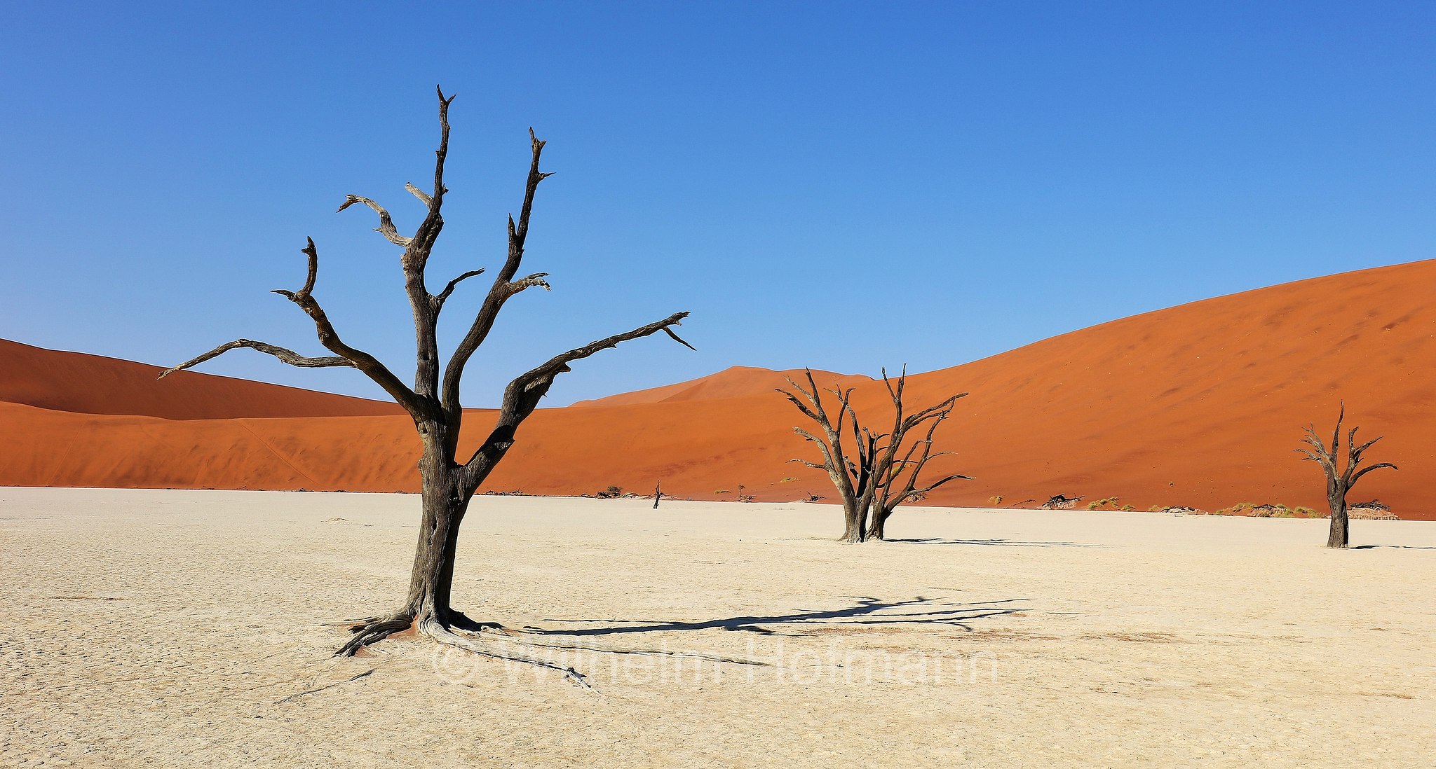 Deadvlei, DeadVlei, Dead Vlei, Dooie Vlei, Sossusvlei, Namib-Naukluft National Park, Namib-Naukluft-Park, parco nazionale di Namib-Naukluft, Namibia