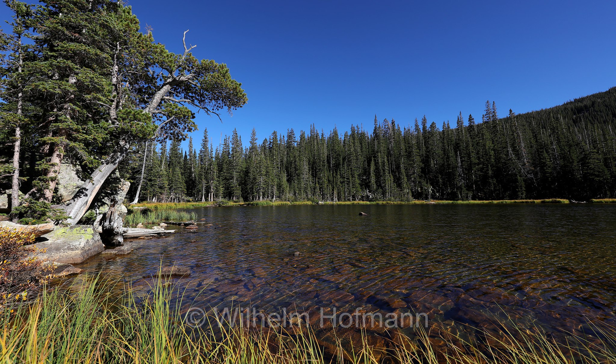 Ouzel Lake, Rocky Mountain National Park, Rocky-Mountain-Nationalpark, parco nazionale delle Montagne Rocciose, Colorado, USA