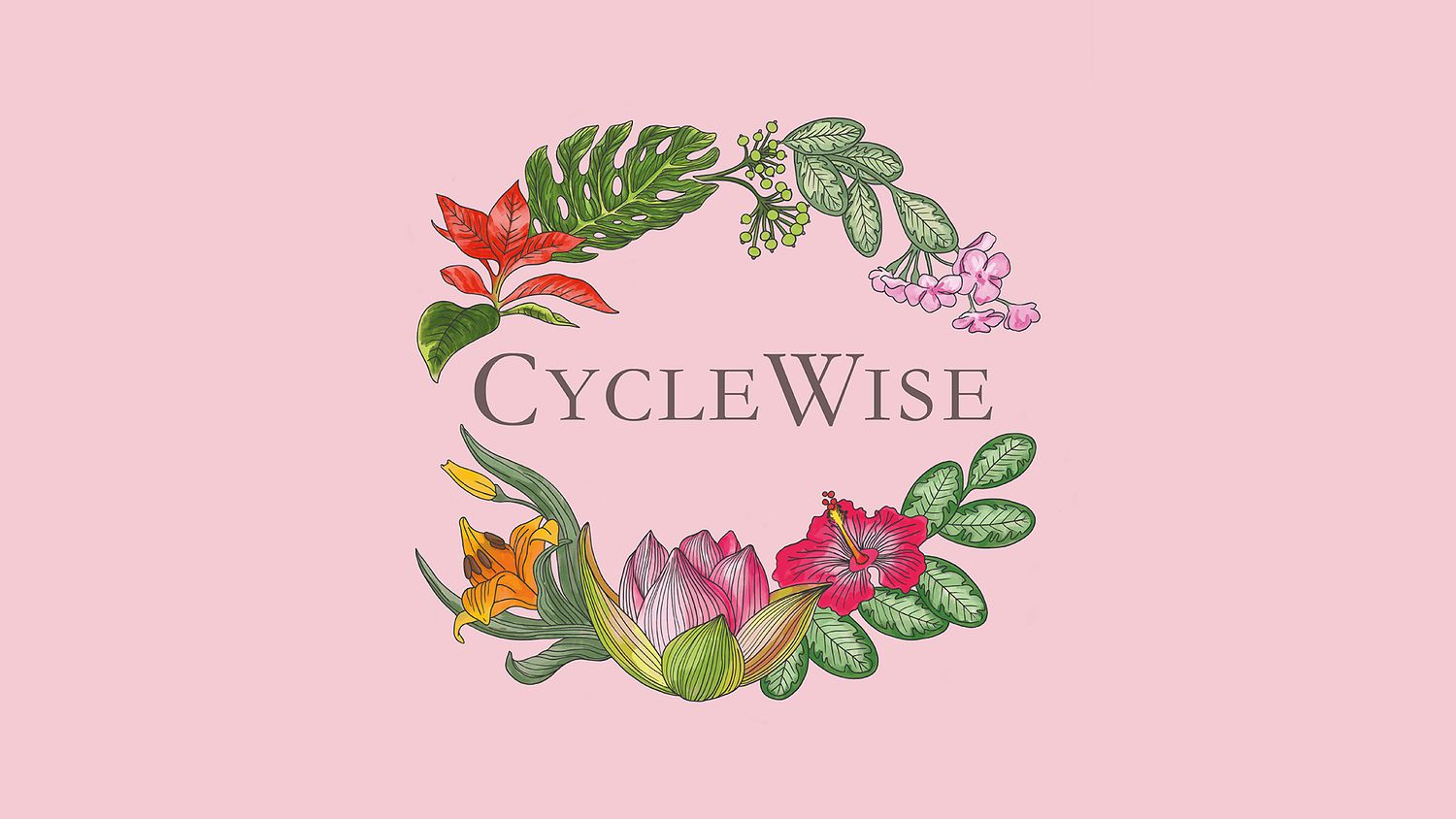 hand-drawn logo design for Cycle Wise