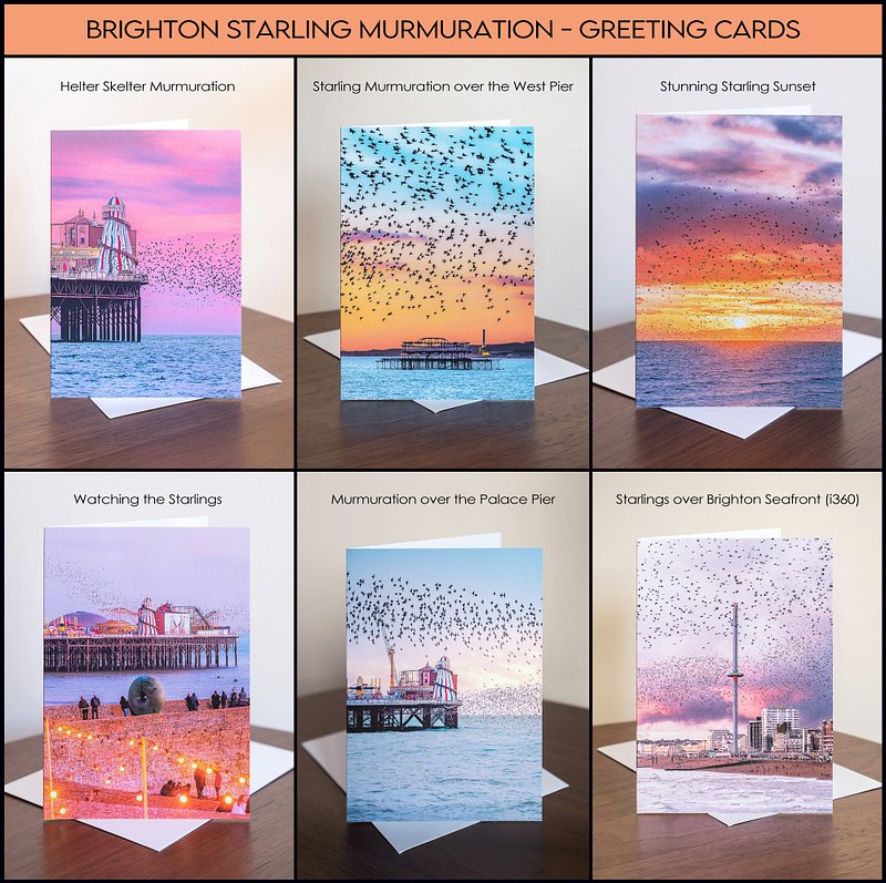 Brighton Starling Murmuration Greeting Cards (6 pack)
