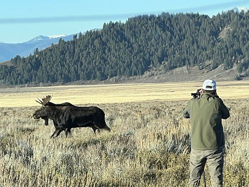 Hello, I'm Chris, a wildlilfe photography enthusiast based in Colorado