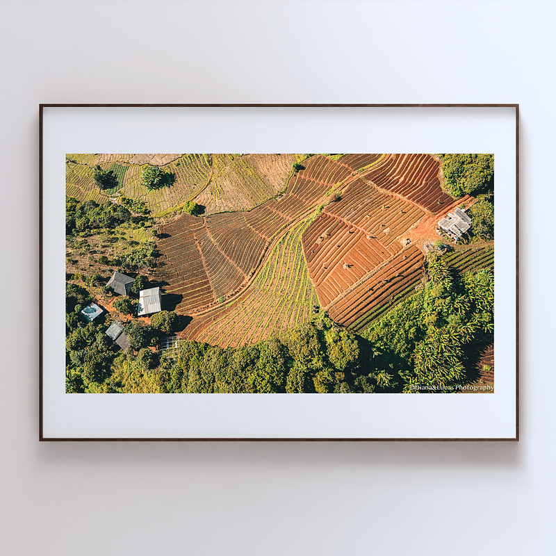 THE ONE - AERIAL PRINTS - "Stiched Earth" - LIMITED EDITION 5 of 5