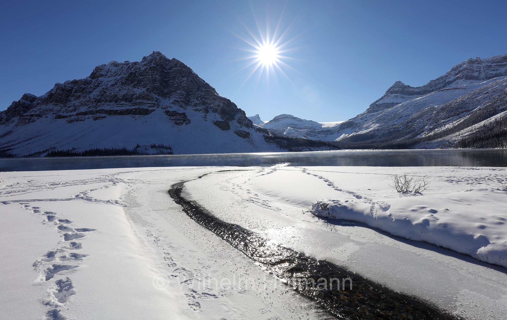 Bow Lake, Banff National Park, Banff-Nationalpark, Parco nazionale Banff, Alberta, Canada, Kanada