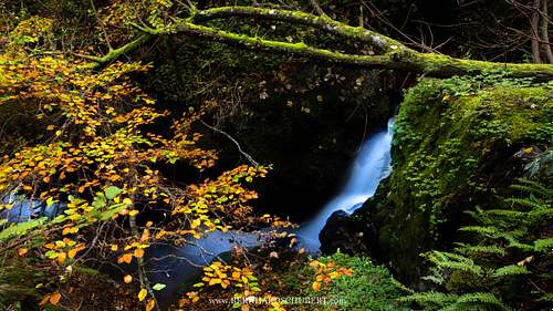 Autumn at the Ysperklamm