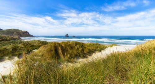 Seascapes, ocean, waves, shores, sand, rocks, surf, clouds, sky, travel, nature, landscape, seaside, beach, long exposure, Dunedin, Otago, South Island, New Zealand, sandfly beach, grass, dunes